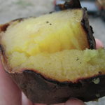 雪みるく - サービスでいただいた焼き芋