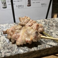 始祖鳥 - セセリ