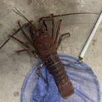 みさきさざゑ店 - 