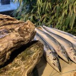 居酒屋まつり - 