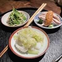 雪梅花 菜根譚 - 