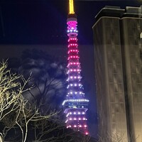 ジャヌ メルカート - 