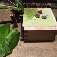 青山 星のなる木 - 