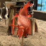 炭火焼きリリー - 