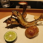 日本料理 晴山 - 岐阜、吉田川の天然鮎　蓮根もち