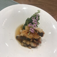 日本料理 とくを - 