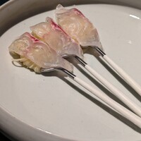 セルサルサーレ - 