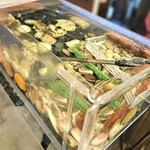 番屋ながさわ - 貝の水槽