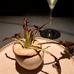 食堂 COVO - カブのポタージュ