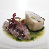 Gris - 