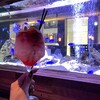 アクアリウムダイニング 新宿ライム