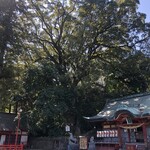 カレー＆スパイス 青い鳥 別府 - 