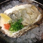 Chikarazushi - 岩牡蠣、水牡蠣