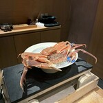 かにじぇんぬ 銀座 - 