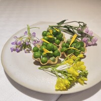 デルフィーナ - 