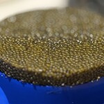 銀座 大石 - キャビア