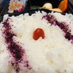 名古屋だるま - 