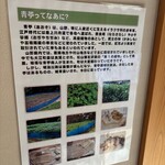 レストラン 川かぜ - あおそ？