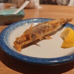 ベイシス京都 - 