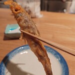 ベイシス京都 - 