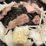 ヤマダモンゴル - 