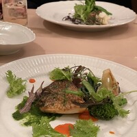 トラットリア キッコ - 