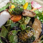 ベジバル チバットリア - ベジ盛りプレート（ハーフ）✨新鮮な葉野菜の上に焼き野菜(*´ω｀*)♡ドレッシングは自家製ライチ♡