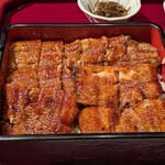 鰻まいもん 焼き一生 - 鰻がビッシリ敷かれてます♪