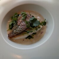 TRATTORIA CREATTA - 
