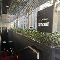 アピシウス -  アピシウス -