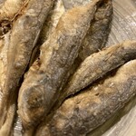 四季の味 圓通 - 