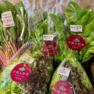 ORIENTAL KITCHEN ITALIANA_1