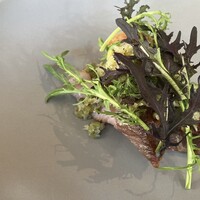 Bistro NOHGA  - 