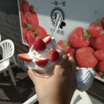 和田農園直売所 - 