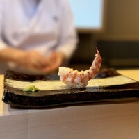THE SUSHI TOKYO 旬 - ・車海老(山口産)