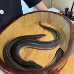 銀座 四代目 高橋屋 銀座店 - 