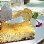 NAYA cafe 上野ファーム - チーズケーキ
