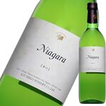 信州不動温泉 さぎり荘 - 