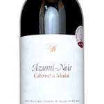 信州不動温泉 さぎり荘 - 