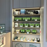 HONOLULU COFFEE HARAJUKU - 