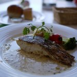 レストラン アレイ - 本日の魚料理（真鯛）