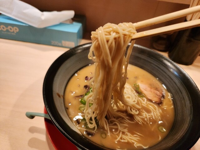 とんとん - 福井城址大名町/ラーメン | 食べログ