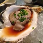 美食空間 音 - 岩牡蠣