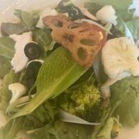 TRATTORIA PIZZERIA 207 渋谷店 - 