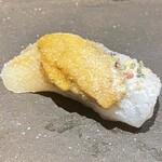 鮨処 池上 - アオリイカと北海道の紫雲丹