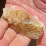 鮨処 池上 - ノドグロ紅瞳