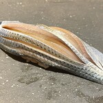 鮨処 池上 - 江戸前のコハダ