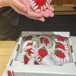 鮨処 池上 - 巨大公方さちのか