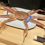 鮨処 池上 - 隠岐島の松葉蟹