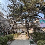 CONCENT MARKET to table - 